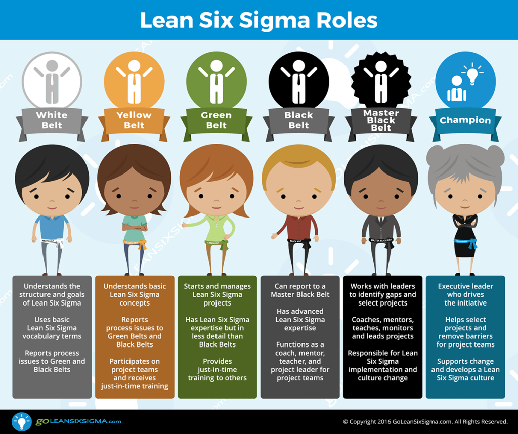 Buona parte dell'efficacia del metodo Lean Six Sigma si basa sulla corretta individuazione dei suoi campioni.